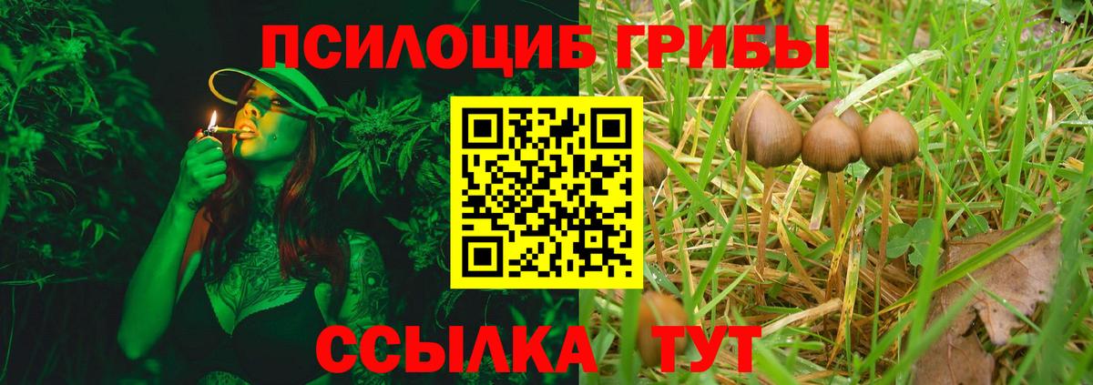 Галлюциногенные грибы мухоморы Баксан